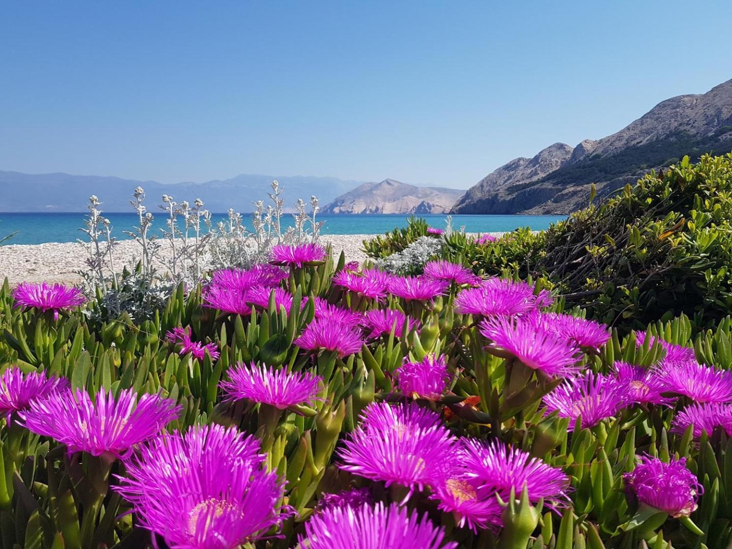 Apartments Zic - Mrakovcic Baška Exteriér fotografie